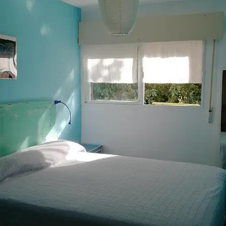 Casita-2